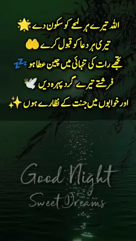good night everyone 😴😴💤 put status on your story 😊 dear tiktok please don't under review my video unfreeze my way #saqibwrite82 #maliksaqib309 