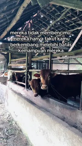 #garasikftb #juragansapi #foryou #storypeternaksapi #peternakmuda #sobatngaret #suksesmuda #peternakmilenial #bisnisanakmuda 