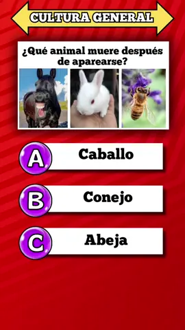 Quiz de Cultura general #quiz #culturageneral #preguntas #preguntasyrespuestas #adivina #quizchallenge #quiztime 
