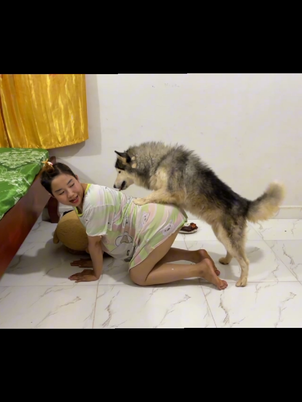 Aww!! KOUCH don't know why TONY get angry me again? But KOUCH try to comforting TONY with food#viralvideos #fyp #dog #doglife #doglove #entertainment #doggirls 