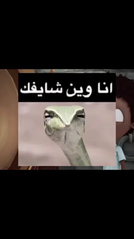 كل ما أشوفهم اتذكر هالكرتون ههههههه#ترندات_تيك_توك #انا_وين_شايفك #حماده_صليح #حماده#صليح#فالكونز#foryou #fyp #xplore #4u #likе 