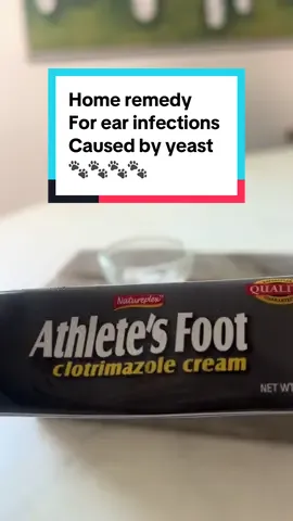 1 tsp hydrocortisone 1 tsp clotrimazole (found in athletes foot cream) Blend together and put a pea size in your dog’s ear once or twice a day until gone. I buy both ingredients at the dollar store #h#homeremediesd#dogearinfectiony#yeastyearsd#dogmomhacksd#dogtok