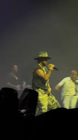 #shaggy #pitbull #prague #partyafterdarktour2025 