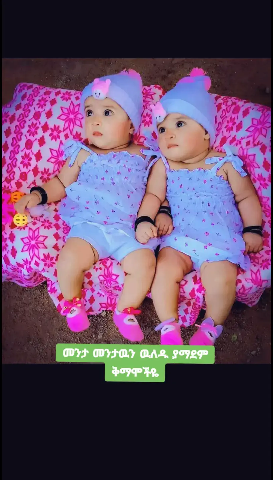 #መንታመንታዉንዉለዱ #የማደም😫ቅማሞች 😫ቅማሞች 