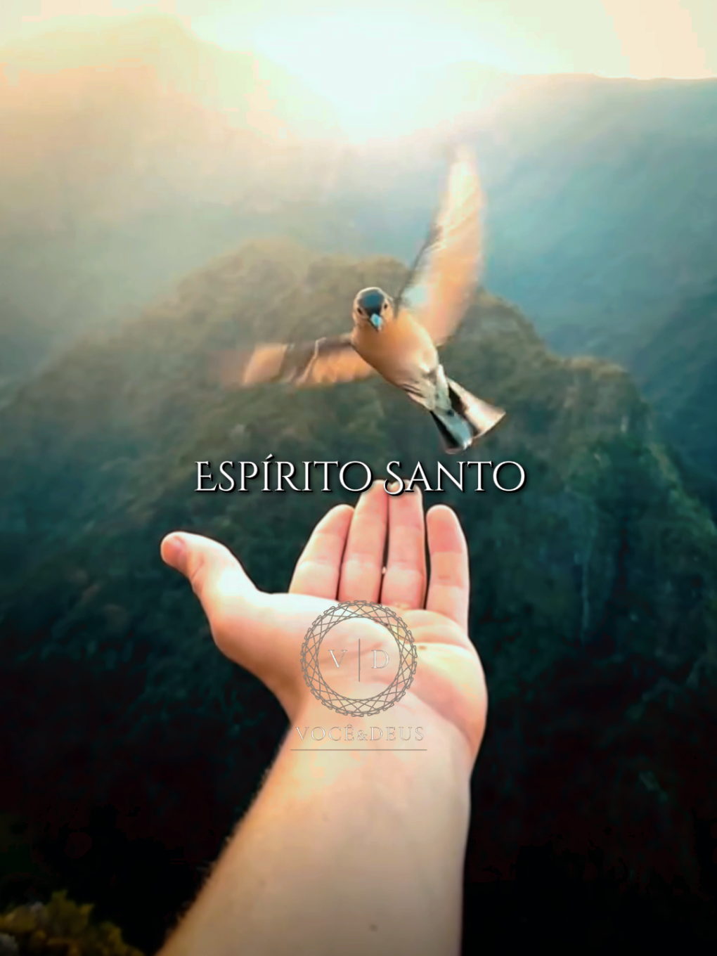 Espírito Santo - Fernanda Brum  . . . #musicagospelparastatus #louvor #hinosevangelicos #hinosantigos #louvores  #fypシ゚viraltiktok #fycristao #louvorgospel #status 