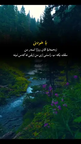 #paiven_zerin #پەیڤێن_زێرین #پەیف #پەیڤ #وتە #اکسبلور #dhok #zaxo 