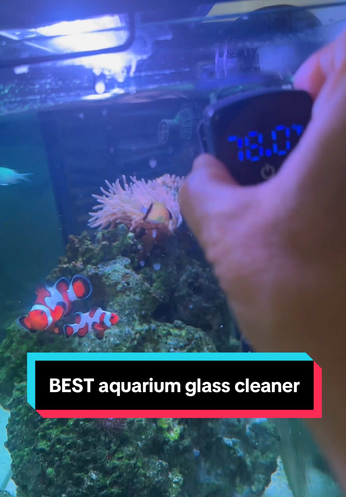 SEAOURA Aquarium 2 in 1 magnetic aquarium glass cleaner #magneticglasscleaner #aquariums #aquariumcleaning #glasscleaning #tiktokshopsummerturnup #tiktokshopcreatorpicks #dealsforyoudays 