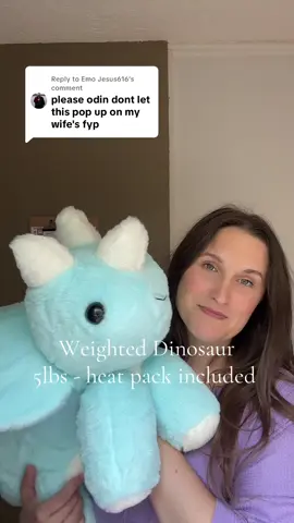 Replying to @Emo Jesus616  #tiktokmademebuyit #dealsforyoudays #tiktokshopcreatorfinds #tiktokshopcreatorpicks #weighted #weighteddino #weightedstuffedanimal #stuffedanimals #dinostuffedanimal #weightedblanket 