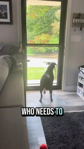 PREACH!! 👏🏼 #pitbullsoftiktok #dallyboy #kotabeans #dallasthepitbull #staffiesoftiktok #dakotathepitbull #mybabies 