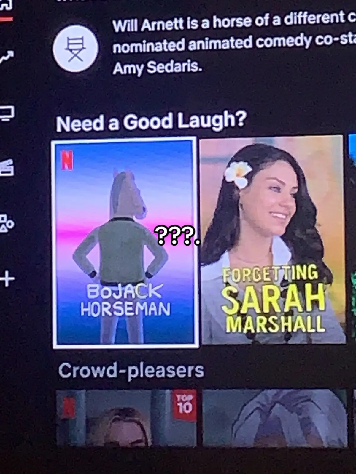 why are you LYING. #bojackhorseman #bojack #fyp #foryou #foryoupage #foru #netflix #sad #theviewfromhalfwaydown #sarahlynn #bojackhorsemanedit #mrpeanutbutter #anguish #yearning #series