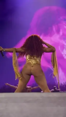 Sza always go crazy on Rich Baby Daddy! 🔥 #sza #drake #fy 