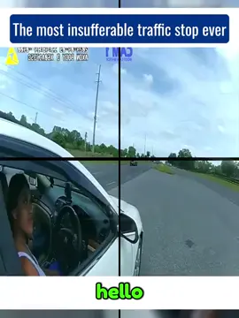 The most insufferable traffic stop ever #cops #copsoftiktok 