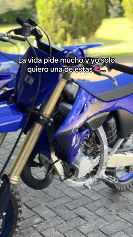 Una avispita😍🐝💙🙏🏻 #yz125💙 #fyppppppppppppppppppppppp #yz125 #fyp #paratiiiiiiiiiiiiiiiiiiiiiiiiiiiiiii #viralvideos #videoviral #bikelife #yz #viralllllll #yamaha #cali #jamundi 