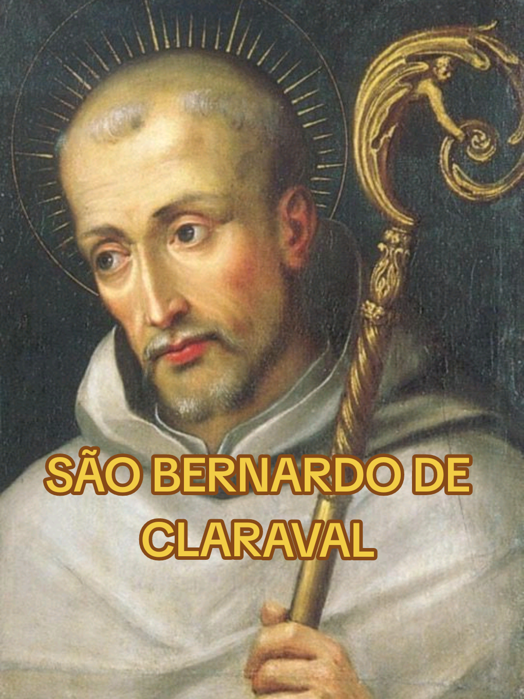 história de São Bernardo de Claraval #fy #igreja #igrejacatolica #humildade #oracao #saobernardo 