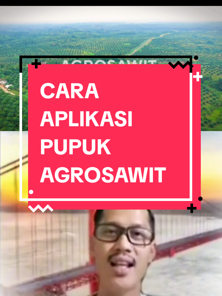 APLIKASI PUPUK NPK32 AGROSAWIT oleh Formulator pupuk Agrosawit Prof Raden Iskandar #agrosawit #pupuknpk #pupuksawit #pupuk #sawit #sawitkalimantan #sawitsumatera #sawitkalbar #sawitkaltim #sawitjambi #sawitriau #sawitpekanbaru #sawitpalembang #sawitlampung 