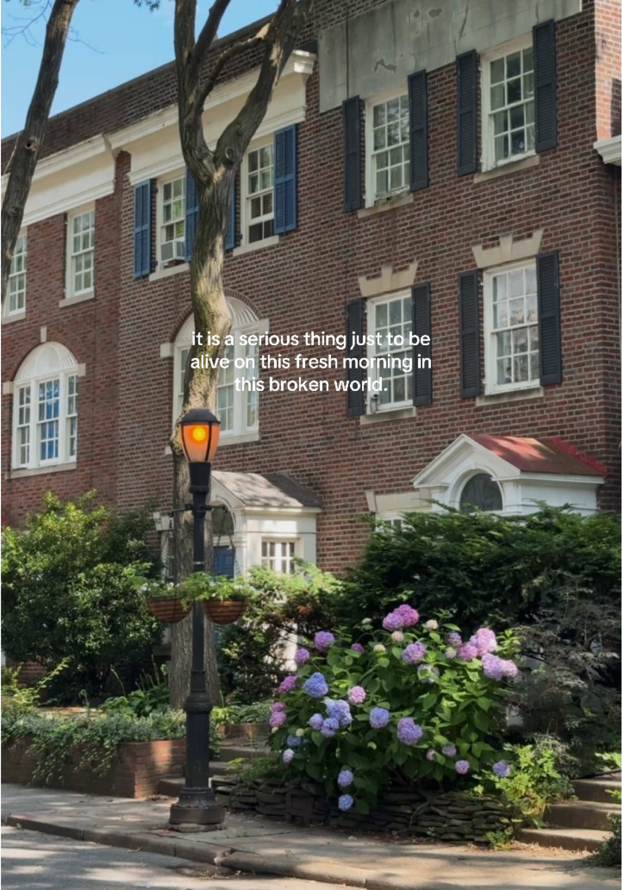 - mary oliver 