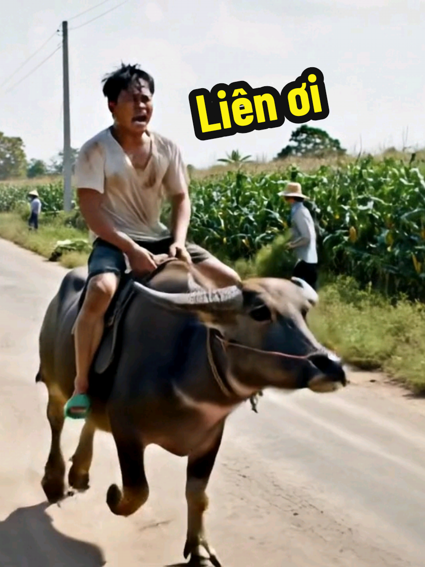 Trả lời @bingan332 Liên ơi em ở đâu #xuhuongtiktok #xuhuong #shorts #AI #ai #shortvideo 