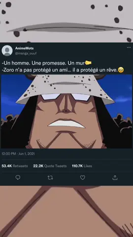 Il n’a pas crié. Il n’a pas demandé de l’aide. Il a juste encaissé toute la douleur d’un capitaine… pour qu’il continue de rêver. Ce jour-là, Zoro n’a pas prouvé qu’il était fort. Il a prouvé qu’il était digne d’être le bras droit du futur roi. Et quand on lui a demandé ce qu’il s’était passé… Il a regardé l’horizon. 💬 