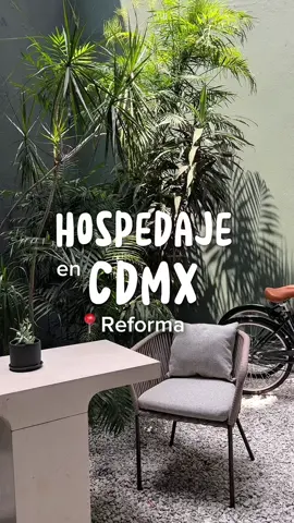 Hotel en CDMX! En reforma, se llama reforma guest house  #cdmx #hotelcdmx #dondequedarse #quehacercdmx #hospedajecdmx 