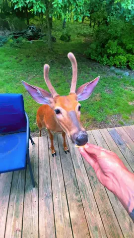 We had a visitor today #creatorsearchinsights 