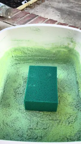 A little paste refresh😍 this sponge will be used in the last videos combo🫣🫣 come back to see it❤️#creatorsearchinsights #Tatcha #trending #fyp #CleanTok #viral #spongeasmr #soapyspongesqueezing #FYP #viralvideos #cleantokasmr #cleaningtiktok #sudsycleaning #asmr #sudsy #fypシ #asmrvideo #asmrsoundsontiktok #spongetherapy #spongetok #asmrsounds 