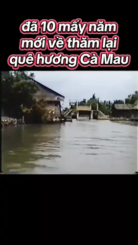 Về ề Quê Ngoại Cà Mau 1996#quenhayeudau #cuocsonbinhyen @Quê nhà yêu dấu 