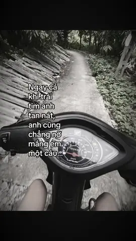Ngay cả  khi trái  tim anh tan nát, anh cũng  chẳng nỡ  mắng em một câu…☺️#ngdat#xh#tamtrang#chill#suy#tinhyeu#capanh#xyzbca#xhhh