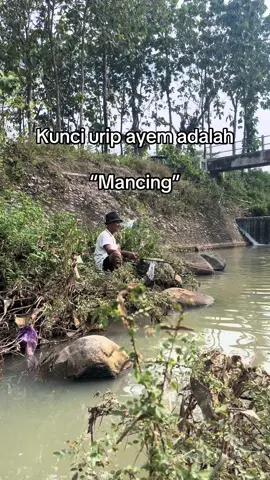 Lungguh pinggir kali nyumet udud mlotot rasbora jan nyenii🗿#mancing #microfishingindonesia #microfishing #ityp789s 