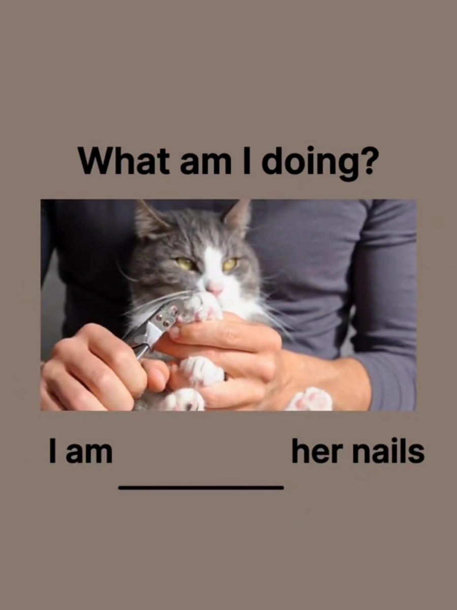Pet Care Verbs in English | English Words for Beginners | What am I doing Do yoh have pets? Can you name these pet caring vocabularies? #english #englishwords #englishvocabulary #englishpractice #englishforbeginners #englishdialogue #learnenglish #studyenglish #englishclass #englishlesson #englishteacher #englishtips #dailyenglish #vocabulary #listening #speaking #wordchallenge #words #study #ielts #esl #pet #petlover #petcare #petcaretips #petsitting #petsitter  #fyp #foryourpage #reels #shorts 