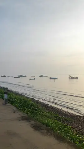 Dạo một vòng biển Tân Thành ☕#tienggiangquetoi #gocongdong🌊 #typ #tiengiang63 