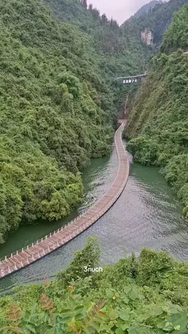 The Lion Pass Floating Bridge.🦁 EP.1 สะพานลอยน้ำสือจือกว่าน (Shiziguan Floating Bridge) หรือ Lion Pass เป็นสะพานไม้ลอยน้ำที่รถสามารถวิ่งได้ เปิดให้บริการในปี 2016 โดยทอดข้ามแม่น้ำสือจือกว่าน ทำให้เกิดระลอกคลื่นเมื่อผู้คนเดินหรือขับรถข้ามไปมา สะพานแห่งนี้เป็นสถานที่ท่องเที่ยวที่ได้รับความนิยมอย่างมาก จนกระทั่งถูกปิดไปในปี 2023 หลังเกิดอุบัติเหตุ ..ปัจจุบันอนุญาติให้เฉพาะรถที่ไม่เกิน 5 ที่นั่งกับรถของอุทยาน และห้ามจอดระหว่างข้ามสะพานหรือลงจากรถ ห้ามคนเดินบนสะพาน นอกจากเจ้าหน้าที่ #Shiziguan #LionPass #狮子关  #ExploreHubei #Hubei 🇨🇳  #JourneyBy3nuch 