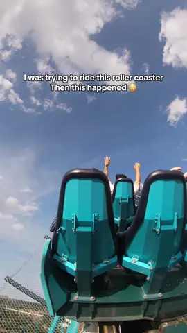 This wasp wouldn't leave me alone on this roller coaster 😭 #mako #seaworldmako #makorollercoaster #waspattack #bug #seaworld #orlando #wasp #bee