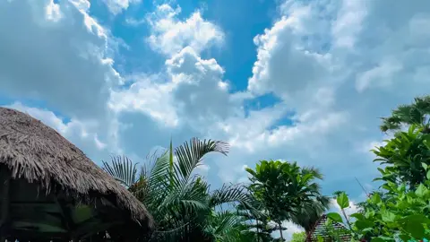 🐰🖤 #foryou #foryoupage #vairal #vairalvideo #tiktok #tiktokofficial #trending #কালাচাঁন007🌚 