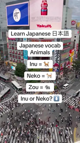 #anime #manga #weeb #otaku #tokyo #japan #japanese #learnjapanese #language #osaka #日本 #nihon #nihongo #日本語 #learn #study #studyjapanese 