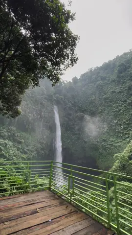 forest for rest🫶🏻🍃 #curugcipendok #curugpurwokerto #purwokerto #purwokertokeren #wisatapurwokerto #banyumas 