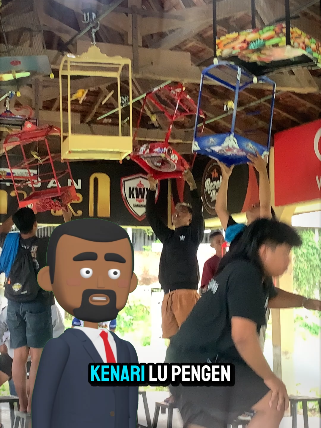 pengen kenari juara? nih gua kasih tau #biofeedpro #kicaumania #gacor #fyppp #fyp #burungkicau #kenari