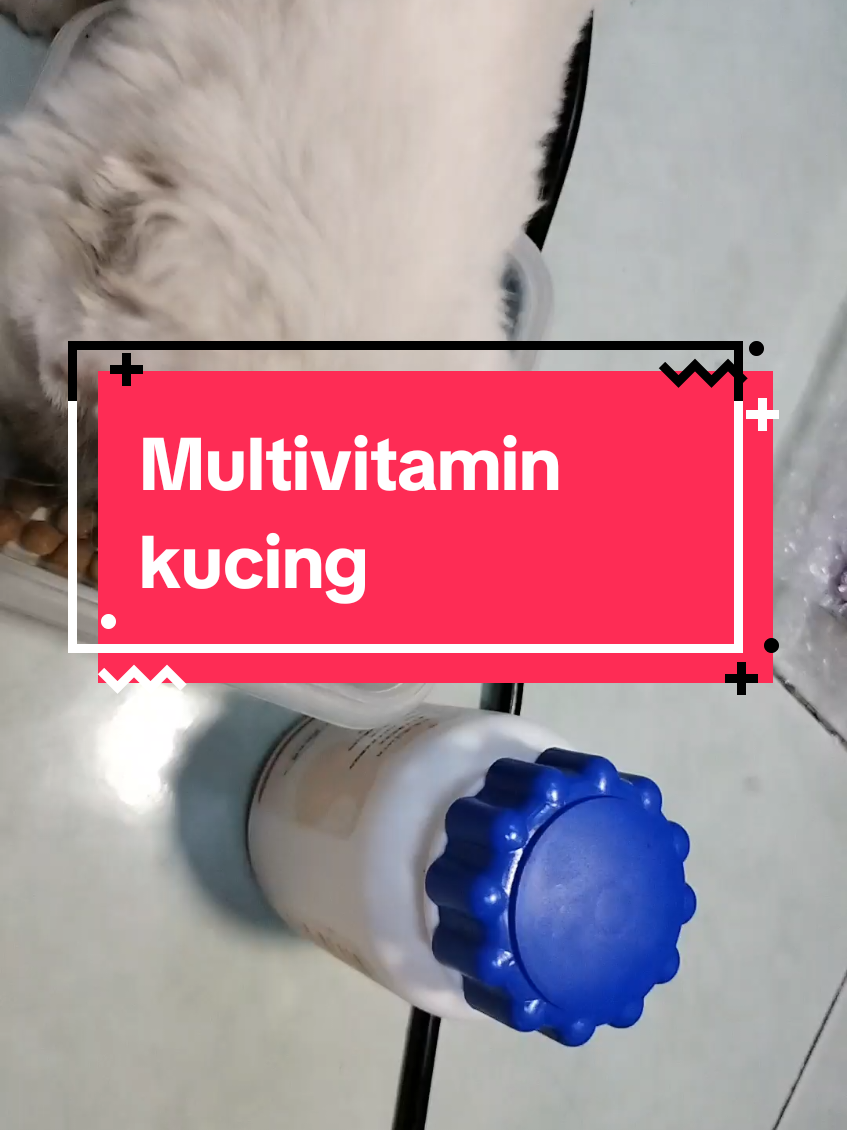 Multivitamin buat SI kucing comel#multivitamin #vitaminkucing 
