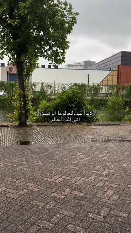 #هولندا🇳🇱 #اكسبلورexplore #fyp 