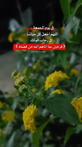 #وفي_يوم_الجمعة  #الحمدلله_دائماً_وابداً #تصميم_فيديوهات🎶🎤🎬  #القرانالكريم #صدقه_جاريه #يارب❤️ #اللهم_صل_على_محمد_وآل_محمد #capcut #يارب_فوضت_امري_اليك #ستوري #صباحكم_سعادهـ🌸🍃 #دعاء_كميل #صباح_الخير #صدقه_جاريه_لجميع_اموات_المسلمين #رساله_للقلب🖤🥀 