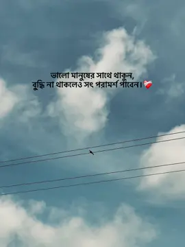 ভালো মানুষের সাথে থাকুন,বু্দ্ধি না থাকলেও সৎ পরামর্শ পাবেন। #Islamic #1milionviews #vairalvideo #caption_video #caption_video_creators 