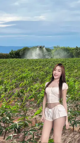 #พิจิตร #พิจิตร🐊❤️ #พิจิตรหวานเจี๊ยบ🤍🐊💕 #พิจิตรหวานเจี๊ยบ🤍🐊 #พิจิตรหวานเจี๊ยบ🤍 #พิจิตรเมืองชาละวัน #พิจิตรหวานเจี๊ยบ #T50 #t50 #โดรน #โดรนการเกษตร #โดรนพ่นยาเพื่อการเกษตร #โดรนพิจิตร #CapCut 