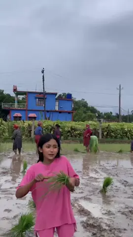 #timromantachakuchhuri 😃#foryou #goviral #ropai 🌾🌿@Deepa Chand✨ @Riyuuuu🗣️ @Nidhichand 