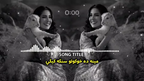 مينه ده خوکولو سنګه کيګي 😭♥️🥀 . . . #virel#foryou#100k#trending#virelthisone #pasthosong #viewsmore #unfreezemyaccount  _____∆_____♥️🥀