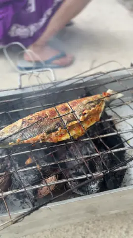Krna alat pembakaran baru jadi menunya smuanya di bakar🤤😍@Kyky #masakanrumahan #menuhariini #ikanbakar #ikanbolu #tafajence #makanankhasbugis 