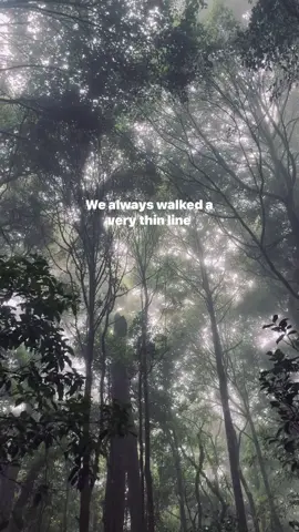 #exile #forest #nature #fog #heaven #taylorswift 