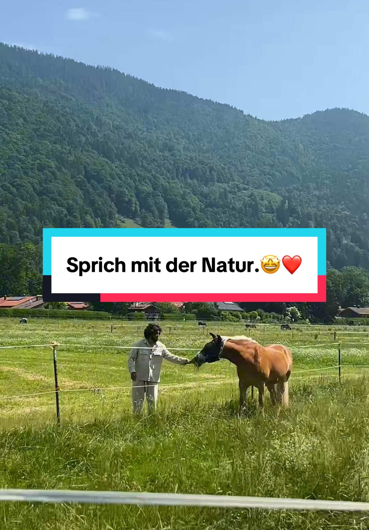 #fyp #fyyyyyyyyyyyyyyyy #bergen #videoviral #nature #nature #nasheed #freepalestine🇵🇸❤️ #الله 