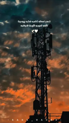 #creatorsearchinsights #2022tiktok #wadansinhala #foryou #foryou #viral #වදන්_ඕන_කට්ටිය_❤️එකක් #inshot #viral #100k #2 #chad #bike #threewheelපිස්සුව #තාත්තා❤️🌎🙂 #අම්මා❤️🌎👑 #sky 