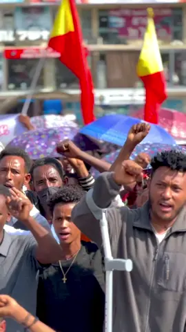 #ይኣክል✊🏽 #tigraytiktok🇻🇳🇻🇳tigraytiktok #fyp #vilral_video #foryoupage @Bisrat Gebriel 2 @ሜጀር TDF 💔💔💔💔 