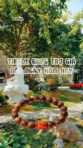 Tiktok đang trợ giá vòng tay trầm hương chỉ còn 85k #vongtaytramhuong #vongtayphongthuy #loiongday 