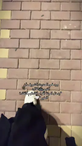 #سبحان_الله_وبحمده_سبحان_الله_العظيم #العلم #islam #العلم_نجاة✍️📚 #мұсылман #quran #قران #حديث #احاديث 